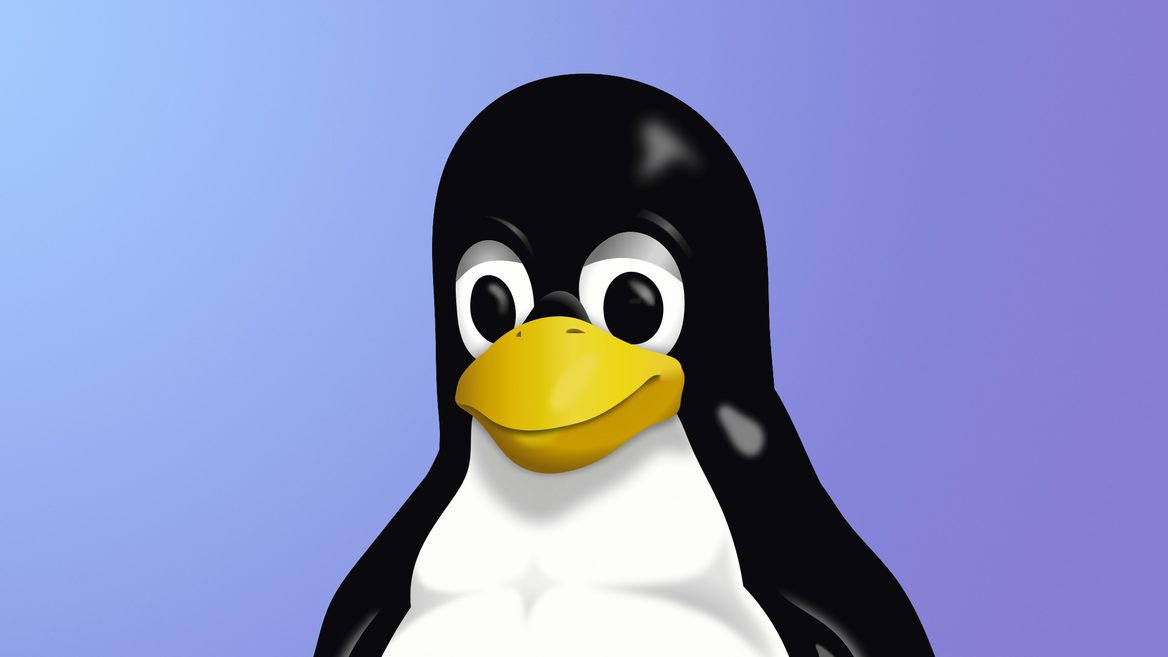 Год Linux: в 2022-м она резко стала популярнее macOS у разработчиков