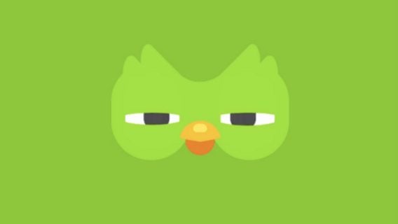 Данные 2,6 млн пользователей Duolingo выставили на продажу