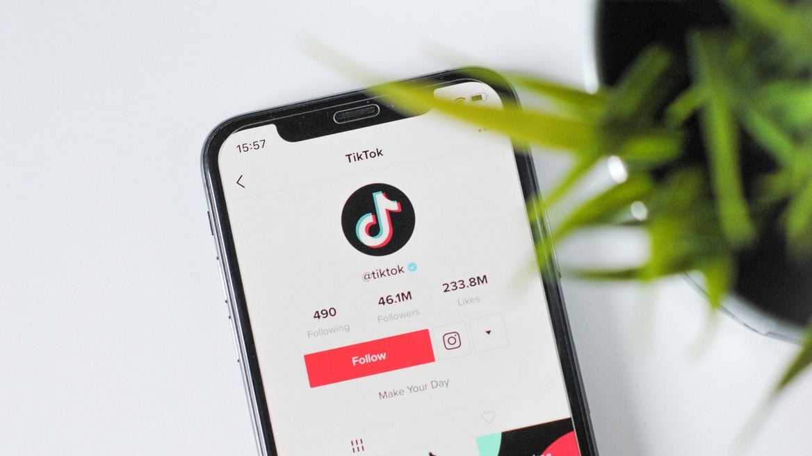 В Румынии отменили президентские выборы замешан TikTok