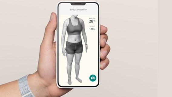 Amazon создала сканер жира в организме. Пользователи оскорблены результатами
