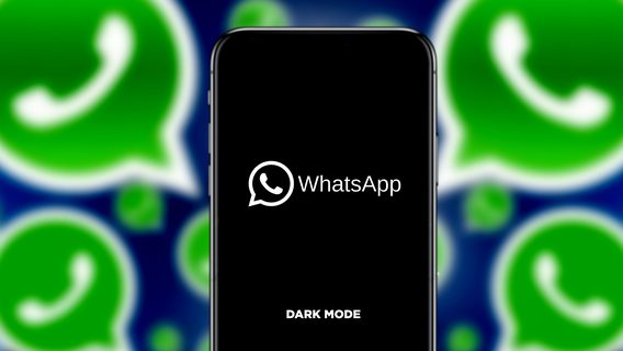 WhatsApp ограничит, а потом удалит аккаунты пользователей, которые не приняли новые правила