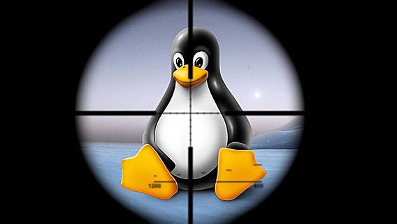 Вирус Linux удаляет с серверов защиту от майнерских скриптов 