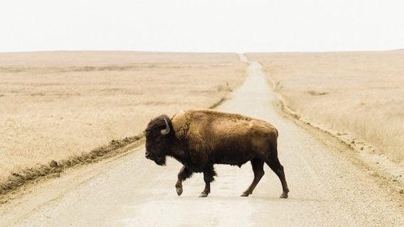 Нашли «реликтового» айтишника в Беларуси. Вот почему он ещё ИП