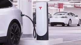 Белстат рассказал, сколько Tesla у беларусов