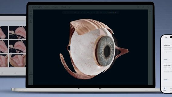 Беларусы вышли на Product Hunt c медстартапом VOKA. Он помогает изучать анатомию человека 