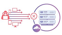 Не только сайты: Cloudflare решила защитить «весь интернет» 