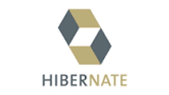 Создание собственного фильтра в Hibernate Search 