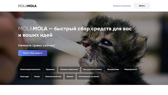 В Беларуси запустили платформу быстрого сбора средств для любых идей 