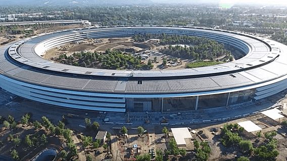 Сотрудники Apple постоянно врезаются в стеклянные стены новой штаб-квартиры 