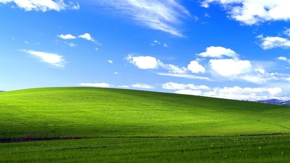 В сеть утёк исходный код Windows XP