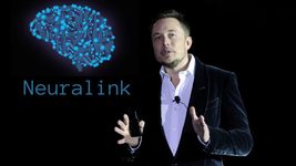 Reuters: регулятор США отказал Neuralink в тестировании чипов на людях