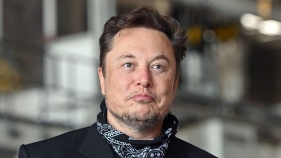 Tesla откатила обновление ПО из-за массовых жалоб