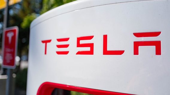 Прибыль Tesla в этом квартале рухнула, а выручка растет слишком медленно