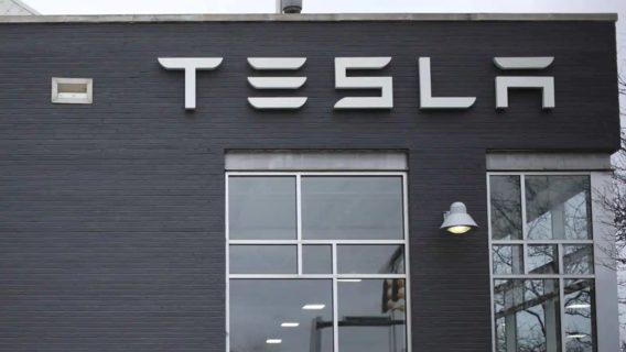 В Индии будут делать Tesla