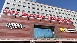 «Хоть сегодня скажите, сколько денег и куда направить. Я устно дам команду». Лукашенко разрешит айтишникам помочь образованию 