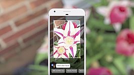 Приложение Google Lens стало доступно для всех Android-устройств 