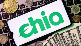 Из-за новой криптовалюты Chia у компании в 6 раз подскочили продажи SSD