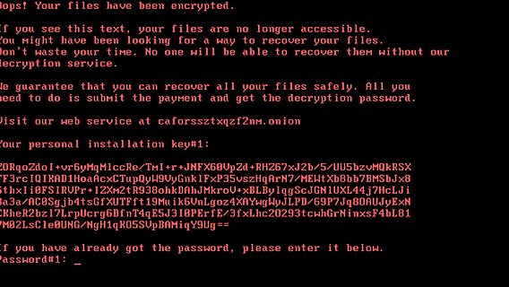 Новый вирус-шифровальщик атакует компьютеры в России и Украине 