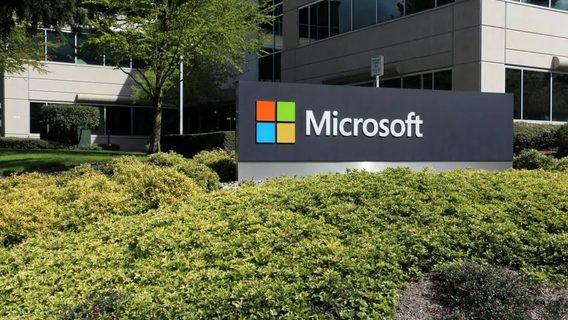 В российских магазинах снова появились продукты Microsoft — на 20% дешевле, чем раньше