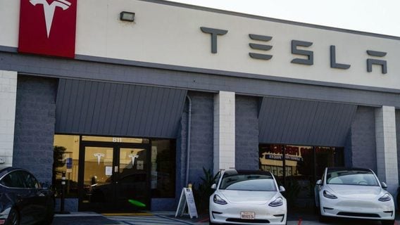 Владелец Tesla нашёл мёртвую мышь и отраву в багажнике после сервиса. Это одна из тысяч жалоб