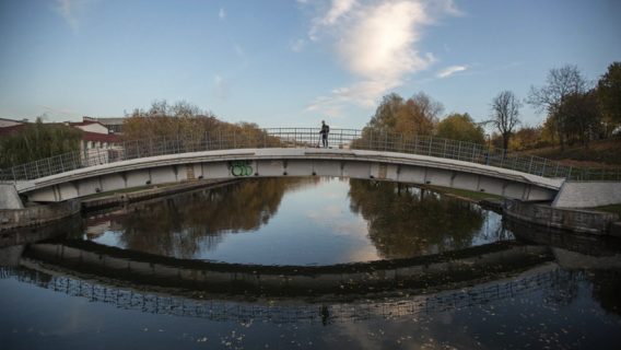 Выросла, и даже без трекеров. Компании про эффективность на удалёнке