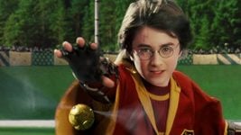 В Hogwarts Legacy нельзя будет сыграть в квиддич. Создатели предложили замену