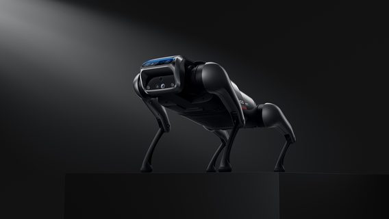 Xiaomi «завела» фирменного робопса — как у Boston Dynamics, только в 50 раз дешевле