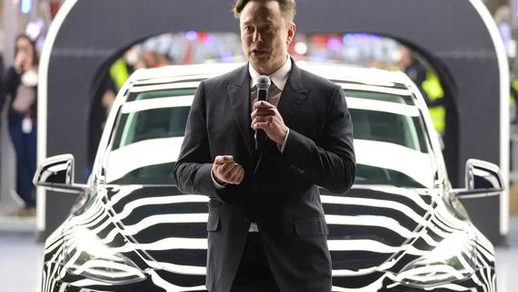 «Полный хаос». Tesla не может найти сотрудников на гигафабрику в Германии