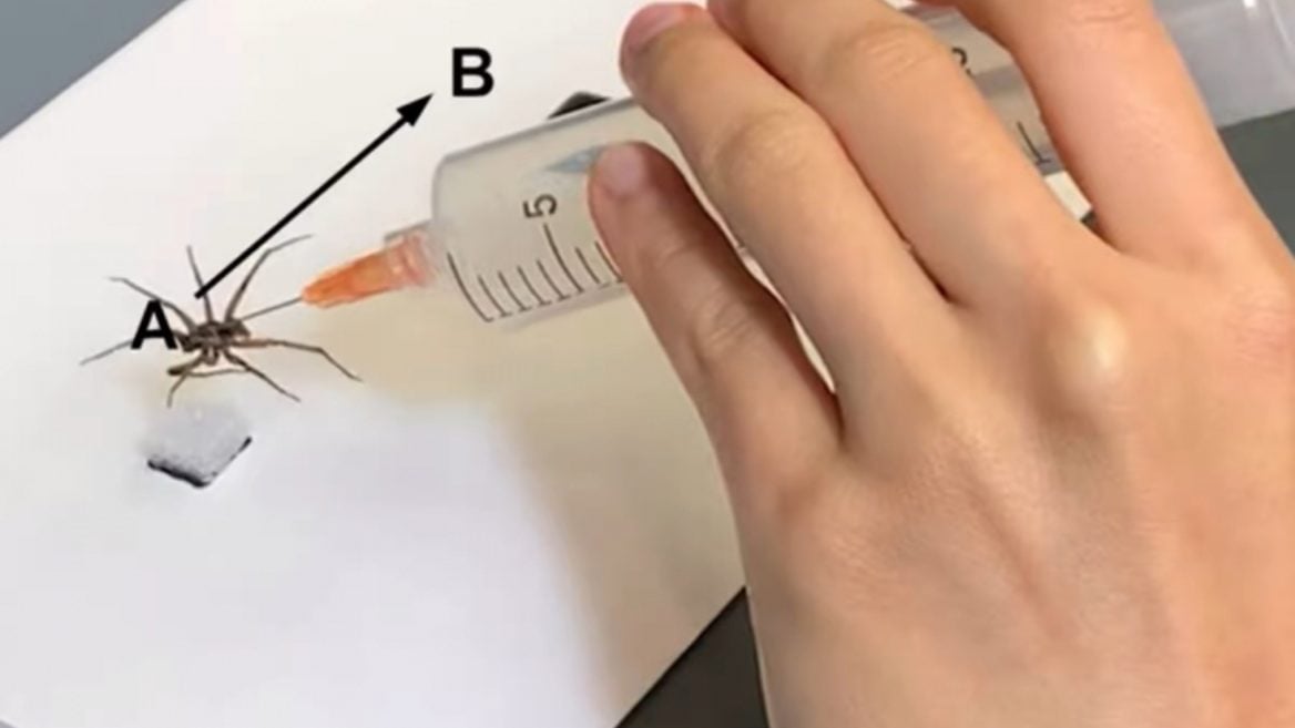 В США из мёртвых пауков создали крошечные роботизированные захваты