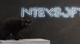 IntexSoft (не) отпускает на удалёнку? «Говорят, упала производительность»
