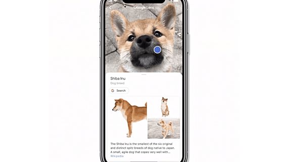 Google добавила функцию визуального поиска Lens в приложение для iOS 