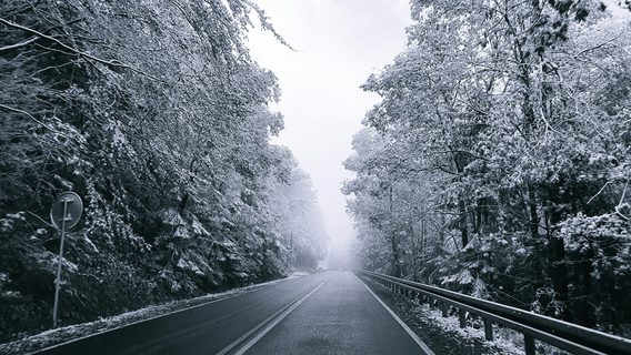 Колькі ІТ-бізнэсаў адкрылі беларусы ў Польшчы, Літве і Латвіі пасля 2020. І як яны маюцца