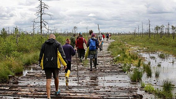 (Обновлено!) Орхидеи на болоте. Два мнения. В Беларуси «всё плохо со стартапами — и будет плохо» VS «Хватит ныть — и всё получится»