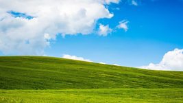 Windows XP до сих пор работает на миллионах ПК