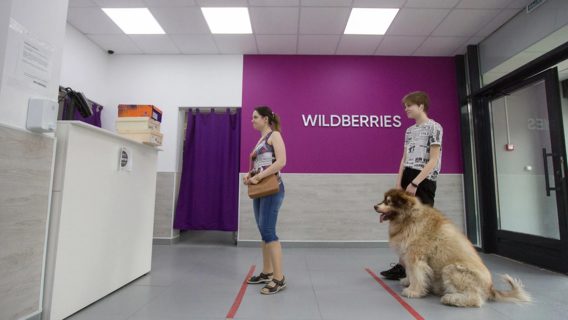 Wildberries объяснил условия платного возврата