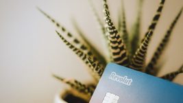 Revolut стал требовать европейский ВНЖ или рабочую визу с беларусских и российских пользователей — иначе блокирует счета