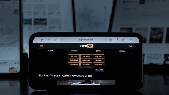 Pornhub расторг контракт с единственным сотрудником в России 