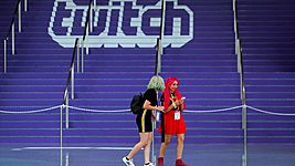 Rambler требует у Twitch почти $3 млрд за пользовательские трансляции английского футбола 