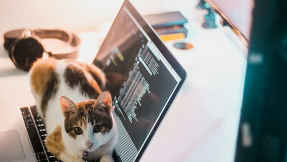 100 дней кодинга: Bootcamp на лето для тех, кто хочет прокачаться в Python (до 23 мая со скидкой 89%)