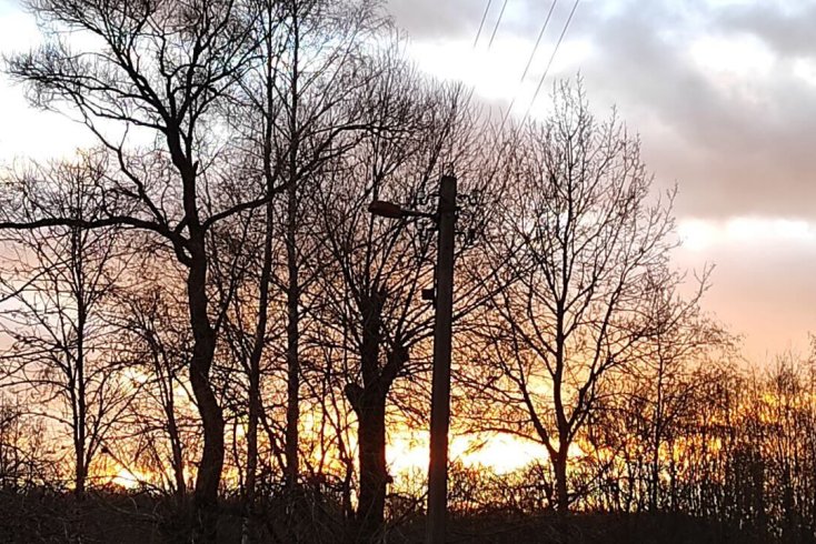 Средняя температура осенью 2025 года превысила норму на 1,6 градуса — Белгидромет