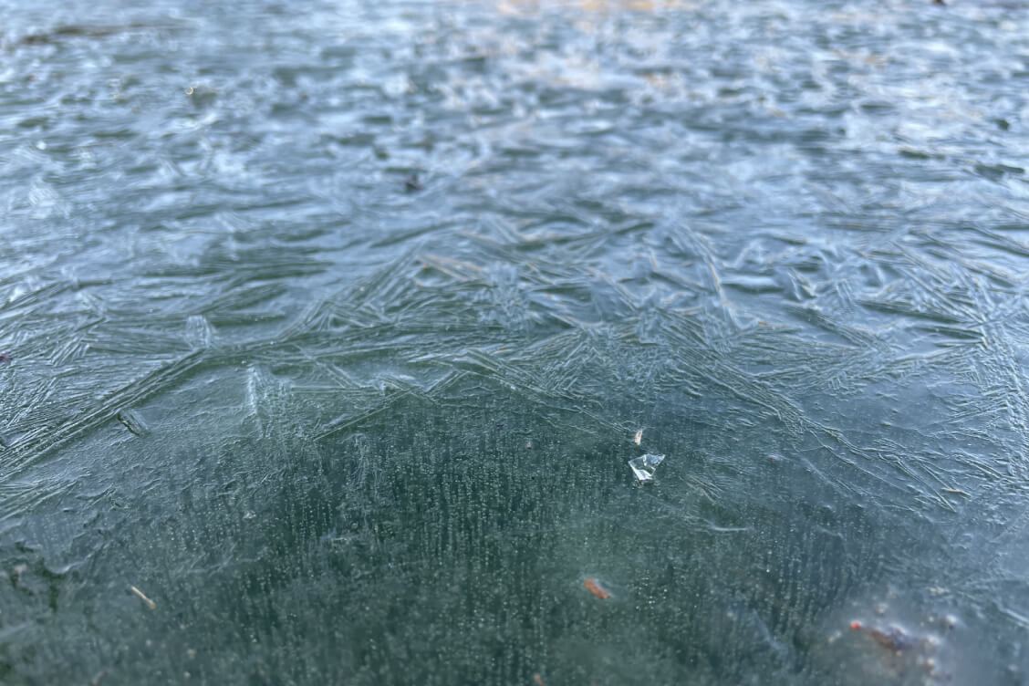 В Беларуси два года подряд снижается число пострадавших от 