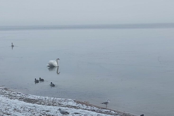 Мядзельскі райвыканкам прапануе размяркоўваць на месцы збор з наведвальнікаў Нацыянальнага парку “Нарачанскі”, а не праз рэспубліканскі бюджэт