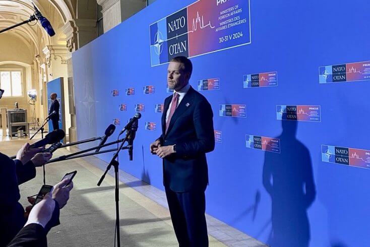 Экс-глава МИД Литвы: Решение власти о снижении уровня охраны Тихановской выгодно Лукашенко