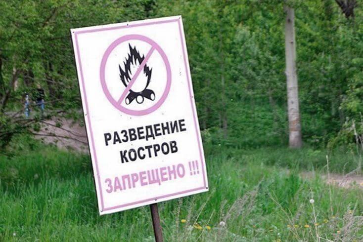 У васьмі раёнах Беларусі забаронена наведваць лясы, у астатніх 110 уведзеныя абмежаванні