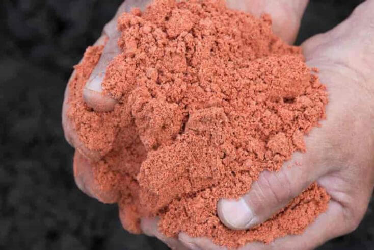 США снимают санкции с белорусского калия — Коул