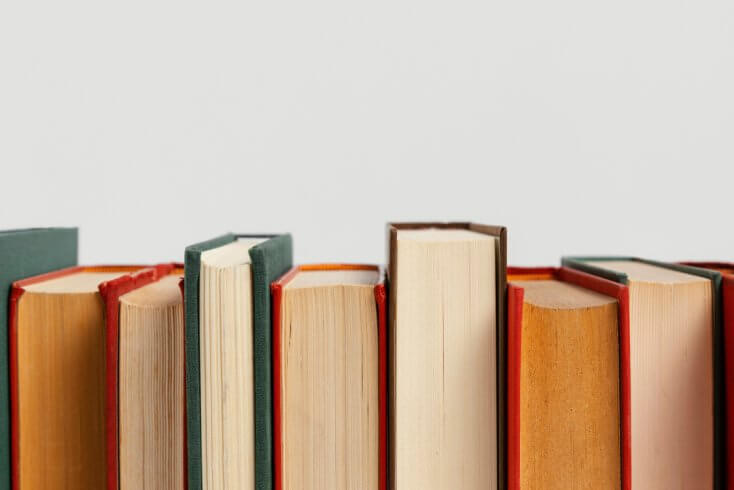 В 2024 году в Беларуси издано в 9 раз меньше книг на белорусском языке, чем на русском — Барковский