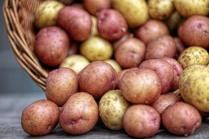 Belarus’ agricultural production down 1 percent in January-September