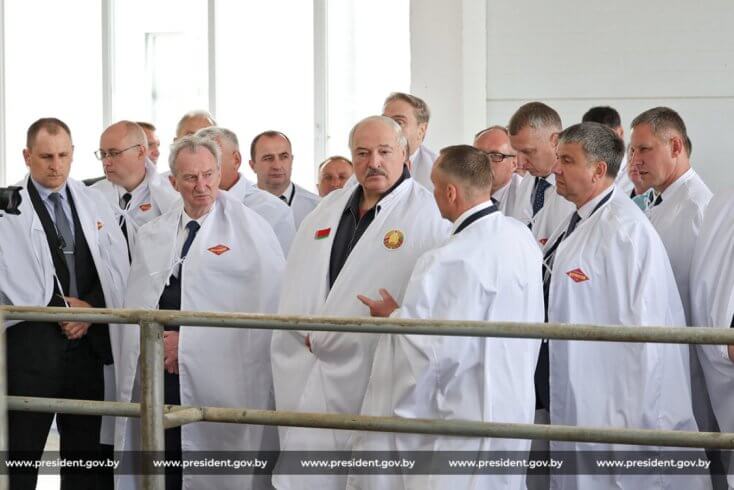 На фоне падения поголовья КРС Лукашенко утверждает, что власти "нащупали" путь развития в животноводстве