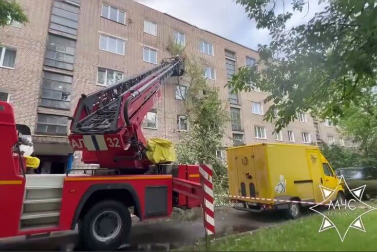 В Борисове упавшее из-за непогоды дерево разбило окна нескольких квартир пятиэтажки и повредило два автомобиля