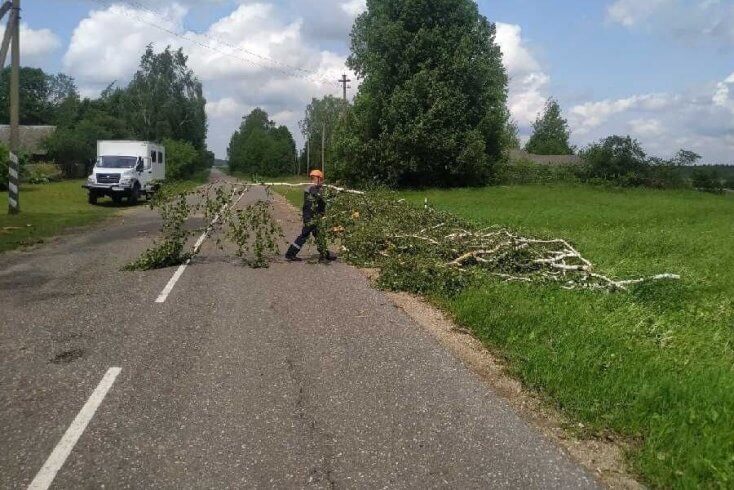 В результате грозового фронта зафиксировано 36 случаев падения деревьев